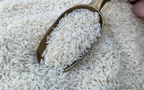 تصویر 4 از خرید و قیمت برنج شمال درجه یک + فروش عمده