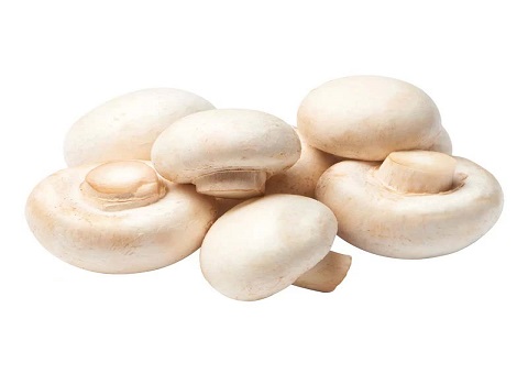 تصویر 1 از قیمت خرید قارچ ریز خوراکی + فروش ویژه