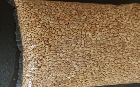 تصویر 4 از فروش گندم پوست کنده + قیمت خرید به صرفه