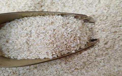 تصویر 1 از فروش جو دوسر اصل + قیمت خرید به صرفه