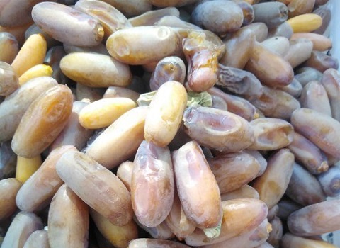 تصویر 2 از خرید و قیمت خرما شاهانی صادراتی + فروش صادراتی
