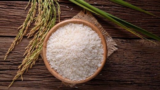 تصویر 1 از فروش برنج هاشمی درجه ۱ + قیمت خرید به صرفه