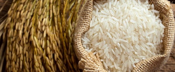 تصویر 4 از خرید برنج چمپا کامفیروز + قیمت فروش استثنایی