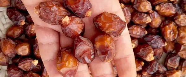 تصویر 3 از خرید خرمای خاصویی ریزه + قیمت فروش استثنایی