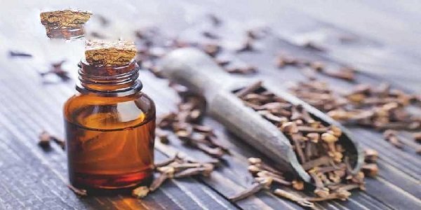 تصویر 3 از فروش اسانس گل میخک دارویی + قیمت خرید به صرفه
