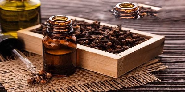 تصویر 2 از فروش اسانس گل میخک دارویی + قیمت خرید به صرفه