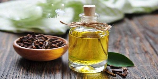 تصویر 1 از فروش اسانس گل میخک دارویی + قیمت خرید به صرفه