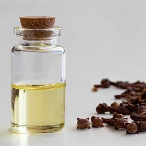 قیمت خرید اسانس گل میخک با فروش عمده