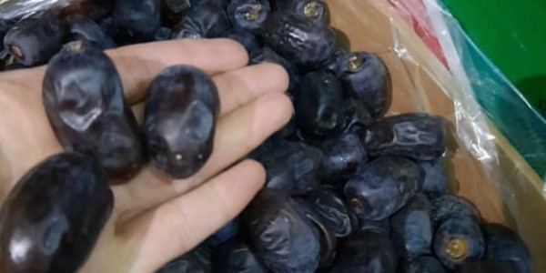 تصویر 3 از خرید و فروش خرما مضافتی فله با شرایط فوق العاده