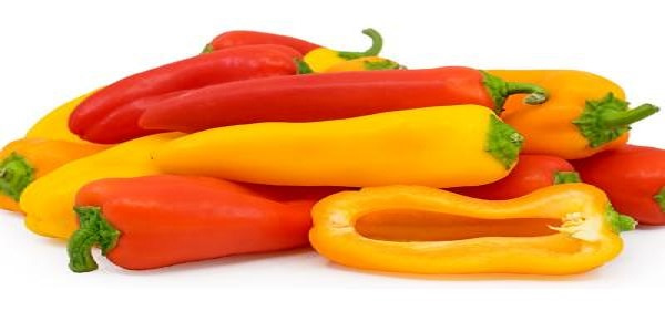 تصویر 5 از قیمت خرید فلفل دلمه ای کاپی + فروش ویژه