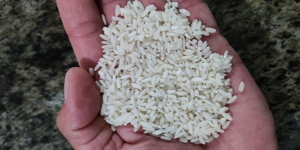 تصویر 4 از خرید برنج چمپای خوزستان + قیمت فروش استثنایی