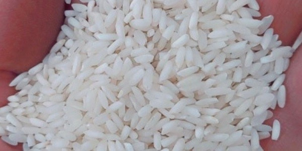 تصویر 3 از خرید برنج چمپای خوزستان + قیمت فروش استثنایی