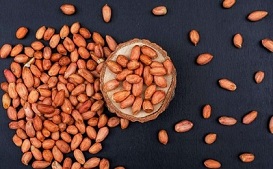 تصویر 4 از فروش بادام زمینی تازه +  قیمت خرید به صرفه