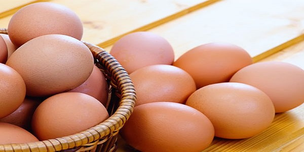 تصویر 5 از قیمت خرید تخم مرغ رسمی قم + فروش ویژه