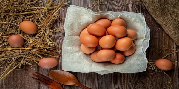 تصویر 1 از قیمت خرید تخم مرغ رسمی قم + فروش ویژه