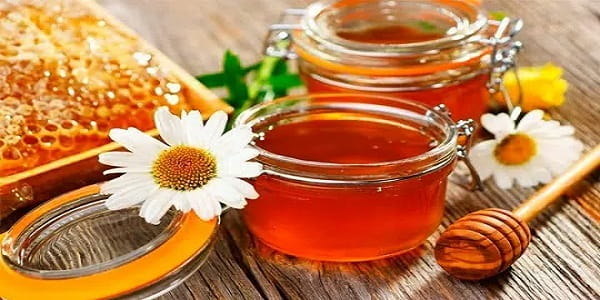 تصویر 1 از خرید و قیمت عسل چند گیاه بهاره + فروش عمده