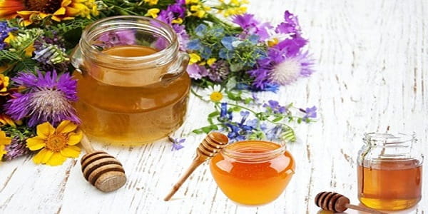 تصویر 3 از خرید و قیمت عسل چند گیاه بهاره + فروش عمده