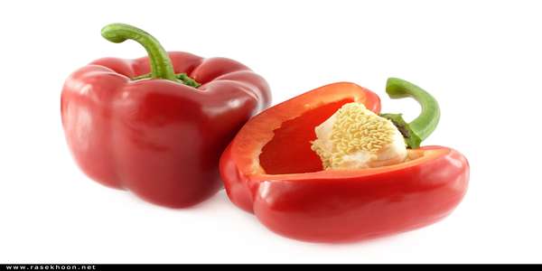 تصویر 4 از قیمت فلفل دلمه ای شیرین با کیفیت ارزان + خرید عمده