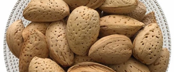 تصویر 5 از خرید و قیمت بادام سنگی شهرکرد + فروش صادراتی