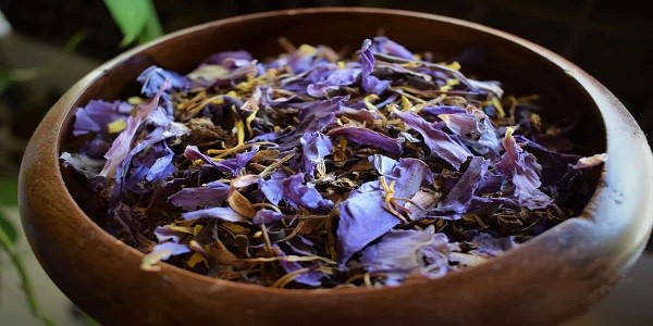 تصویر 3 از خرید گیاه دارویی گل گاوزبان ایرانی + قیمت فروش استثنایی