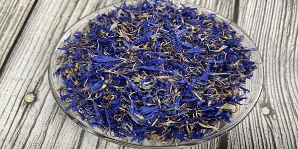 تصویر 5 از خرید گیاه دارویی گل گاوزبان ایرانی + قیمت فروش استثنایی