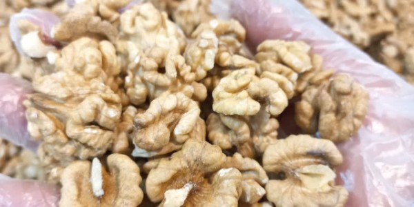 تصویر 1 از قیمت خرید مغز گردو سفید تویسرکان عمده به صرفه و ارزان