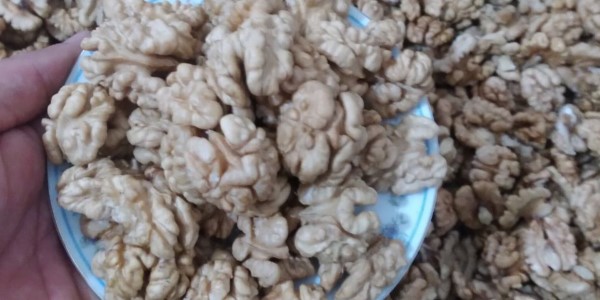 تصویر 2 از قیمت خرید مغز گردو سفید تویسرکان عمده به صرفه و ارزان