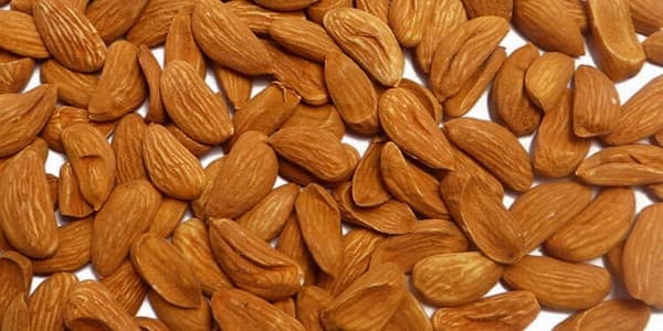 تصویر 1 از قیمت بادام مامایی اصفهان با کیفیت ارزان + خرید عمده