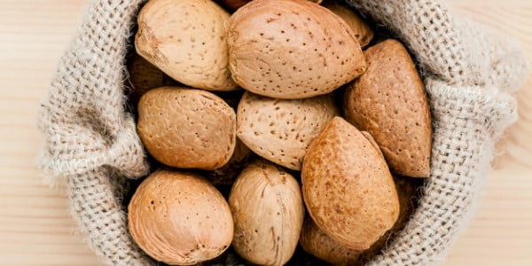 تصویر 3 از قیمت بادام مامایی اصفهان با کیفیت ارزان + خرید عمده