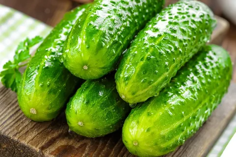 تصویر 4 از قیمت خرید خیار سبز خاردار + فروش ویژه