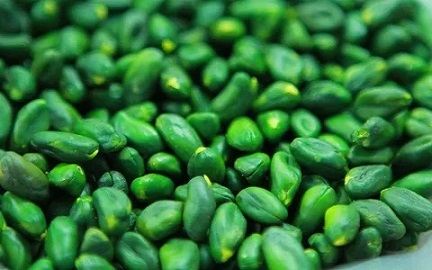 تصویر 3 از قیمت خرید مغز پسته کال + فروش ویژه