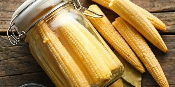 تصویر 5 از خرید و فروش ترشی بلال شور با شرایط فوق العاده