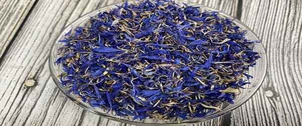 تصویر 1 از خرید گل گاو زبان اصل + قیمت فروش استثنایی