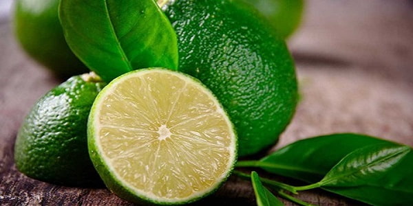 تصویر 4 از خرید و قیمت لیمو سبز بزرگ + فروش عمده
