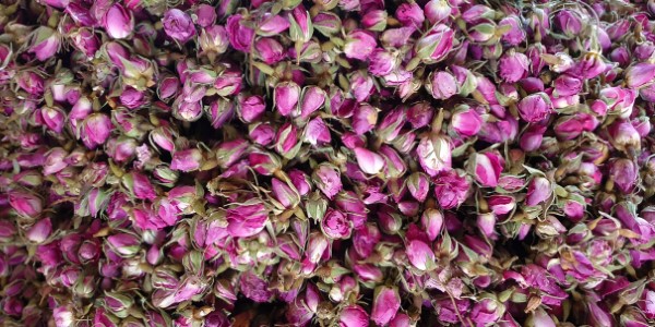 تصویر 5 از خرید و قیمت غنچه گل محمدی عمده + فروش صادراتی