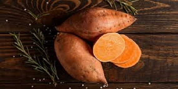 تصویر 3 از خرید سیب زمینی شیرین + فروش صادراتی