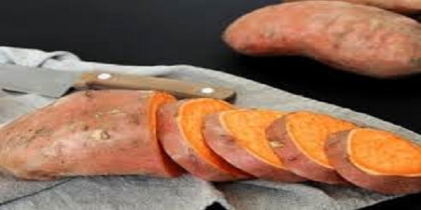 تصویر 4 از خرید سیب زمینی شیرین + فروش صادراتی
