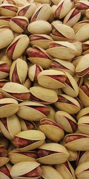 تصویر 2 از قیمت خرید پسته احمد آقایی درجه یک با فروش عمده