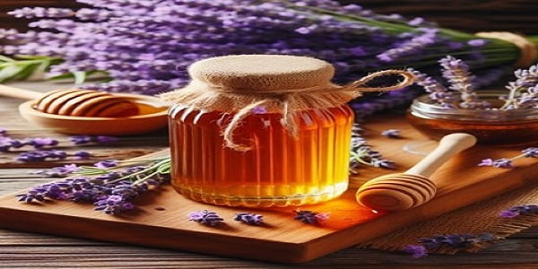 تصویر 1 از خرید عسل اسطوخودوس اصل + قیمت فروش استثنایی