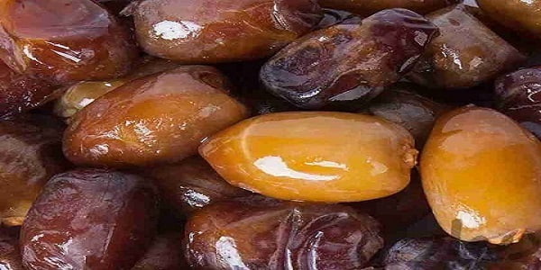 تصویر 1 از خرید و قیمت خرما رطب درجه یک + فروش عمده