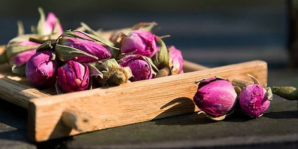 تصویر 1 از قیمت خرید غنچه گل داراب عمده به صرفه و ارزان