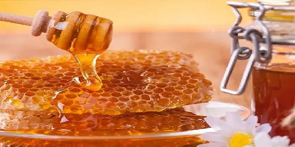 تصویر 4 از فروش عسل کنار درجه یک + قیمت خرید به صرفه