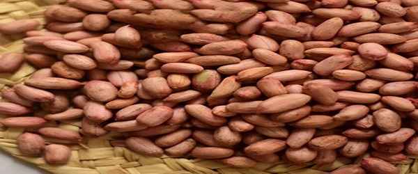 تصویر 3 از خرید بادام زمینی بدون نمک + قیمت فروش استثنایی