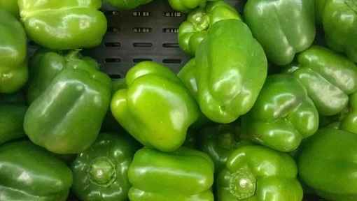تصویر 5 از قیمت خرید فلفل دلمه ای سبز + فروش ویژه