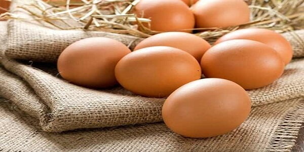 تصویر 5 از قیمت تخم مرغ درجه یک با کیفیت ارزان + خرید عمده