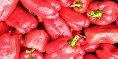 تصویر 5 از خرید و قیمت فلفل دلمه صورتی + فروش صادراتی