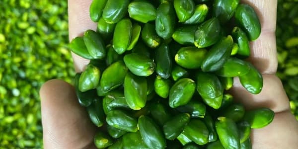 تصویر 3 از قیمت مغز پسته دوپوست + خرید باور نکردنی