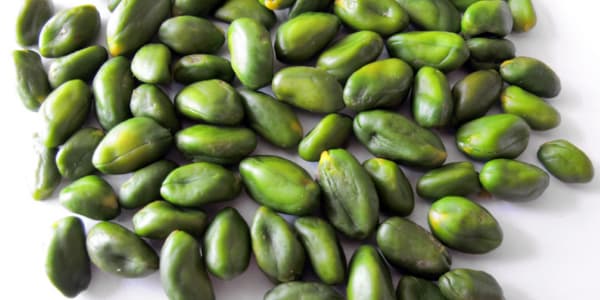 تصویر 5 از قیمت مغز پسته دوپوست + خرید باور نکردنی