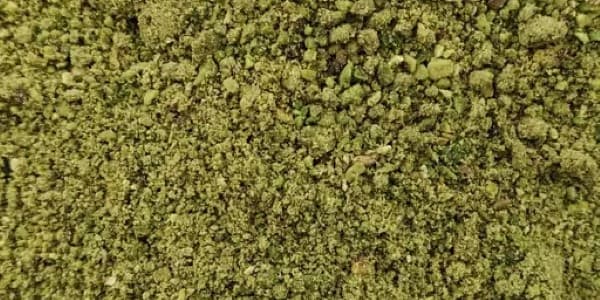تصویر 1 از خرید پودر پسته بسته بندی + قیمت فروش استثنایی