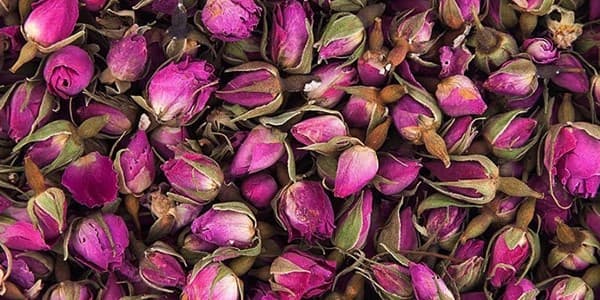 تصویر 2 از خرید و قیمت غنچه ی گل محمدی خشک + فروش عمده
